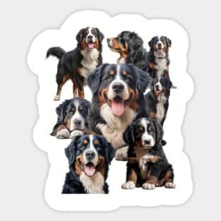 Bernese mountain dogs Sticker